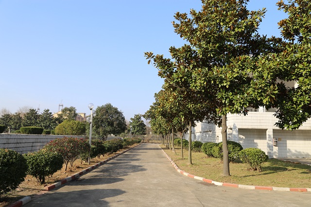 湖東院區——湖東霜雪晚 陽光正佳時