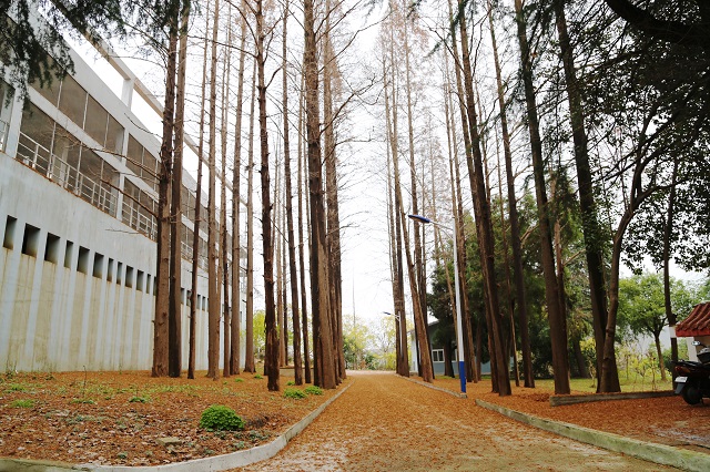 南灣水廠——南湖戰將非等閑身披金甲沖云天