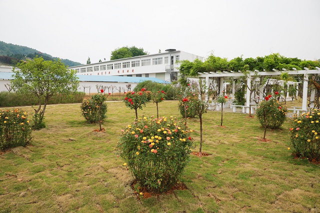 湖東院區(qū)——誰言造物無偏處 獨(dú)遣春光住此中